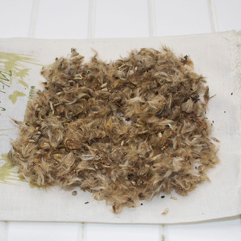 Annual Bold Blooms Wildflower Yard Seed Mix - Image 4