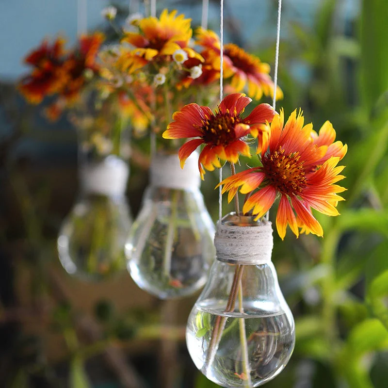 Bouquets For Days Perennial Wildflower Seed Collection - Image 4