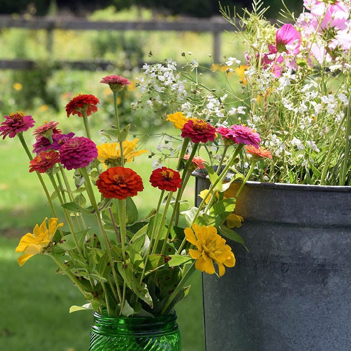 Bouquets For Days Wildflower Seed Mix - Image 2