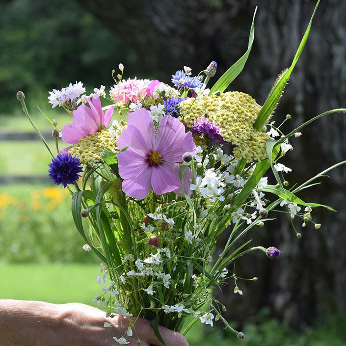 Bouquets For Days Wildflower Seed Mix - Image 3