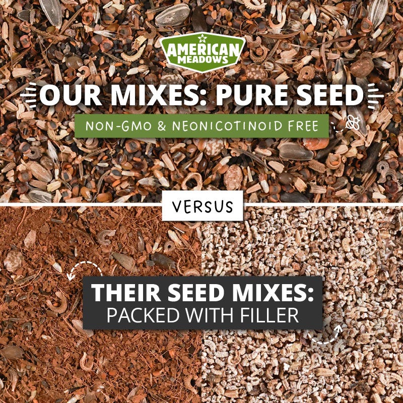 Fall Maximum Wildflower Seed Mix - Image 7