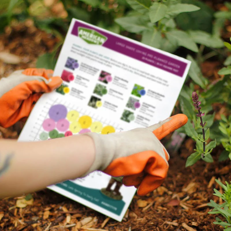 Moonlight Pre-Planned Garden - Image 3