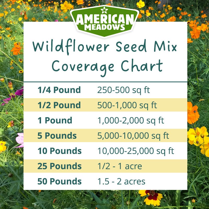 Pacific Northwest Pollinator Wildflower Seed Mix - Image 6