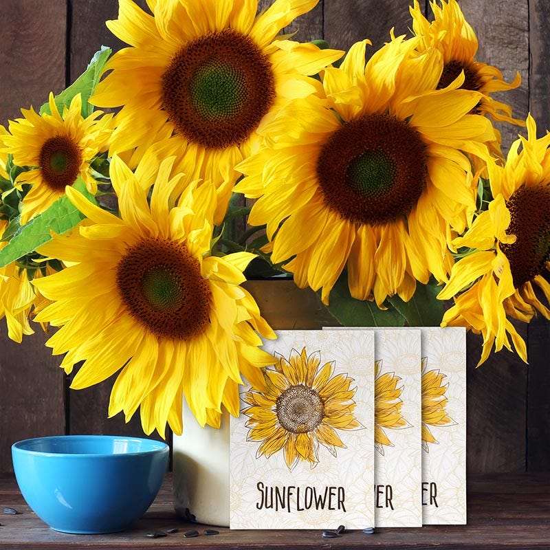 Sunflower Wallpaper Print Seed Packet - Image 3